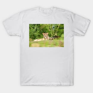 Lioness T-Shirt